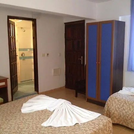 R.e.d. אולודניץ